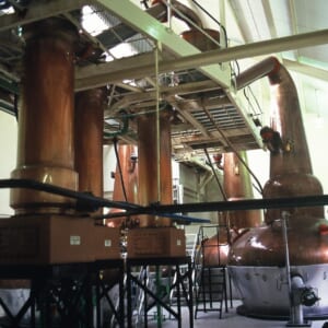 キャパドニックスチル1