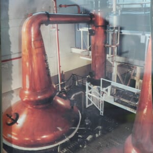 グレングラッサスチル