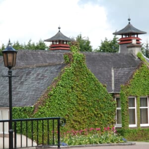 グレンフィディック-2