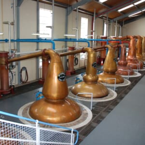 グレンフィディックスチル