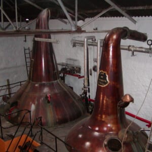 スプリングバンクスチル