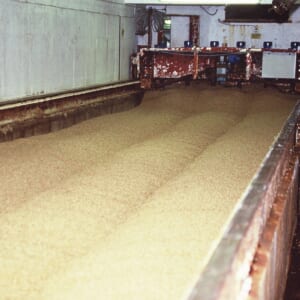 タムドゥーモルトストック