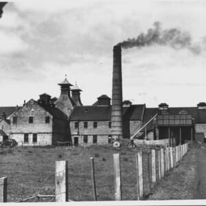 ダルウィニー蒸留所1900年代