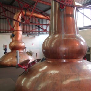 ブラッドノックスチル