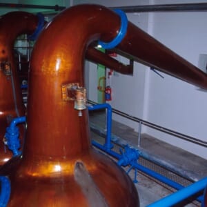 マッカランスチル-1