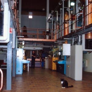 マッカランスチル下部