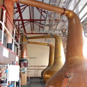 ロイヤルブラックラスチル