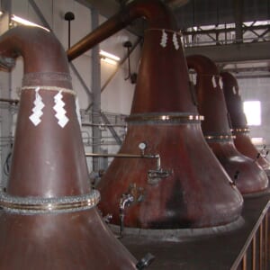 余市蒸溜所スチル