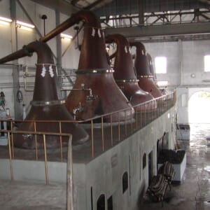余市蒸溜所スチル