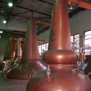 山崎蒸溜所スチル